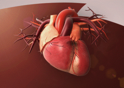 Chest pain, tightness of breath Beware of heart blood vessel