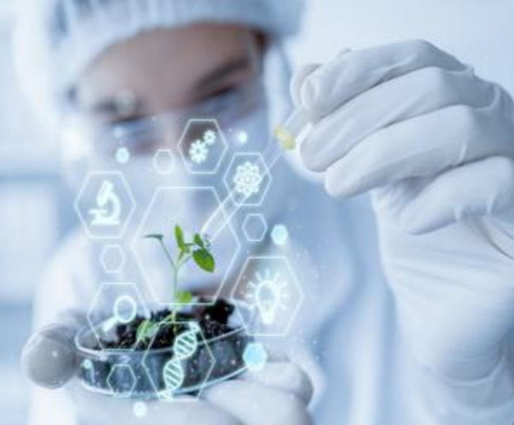 Investing in Healthspan: Worth Every Penny?