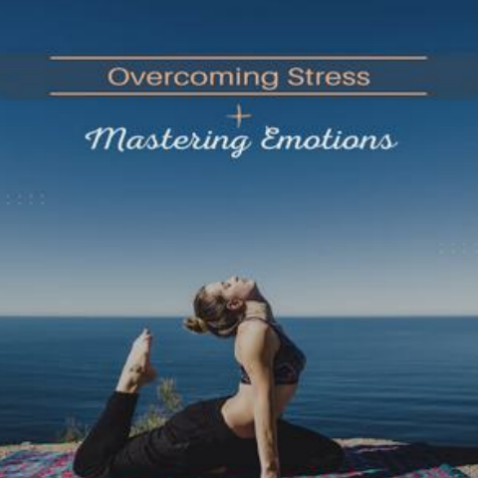 Mastering Emotions in High - Stress Living