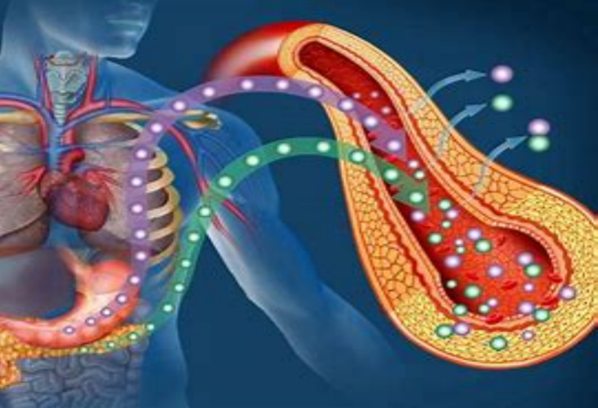 Unmasking Insulin Resistance: The Hidden Culprits Beyond Sugar