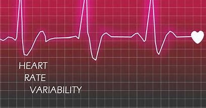 Unveiling Your Stress: The Heart Rate Variability Test
