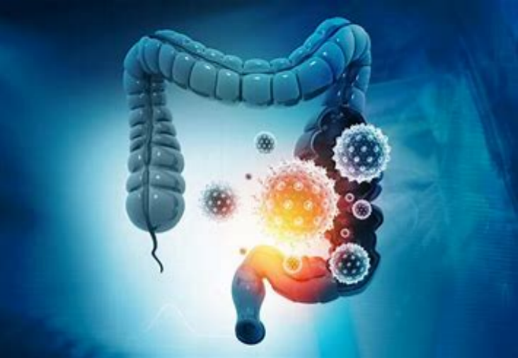 Precision Health Era: Tailoring Your Diet with Gene Testing and Gut Microbiome Analysis