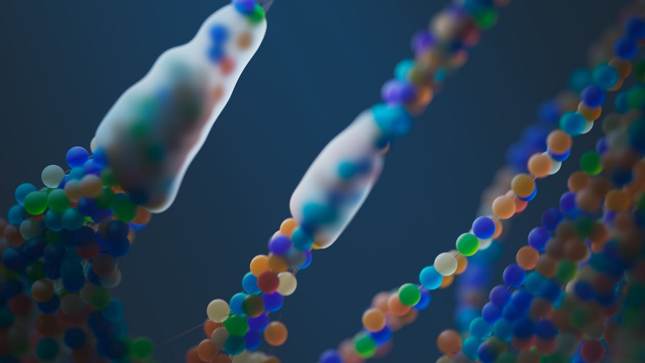 Stem Cell Therapy: The Secret Password to Unlock Life and Health