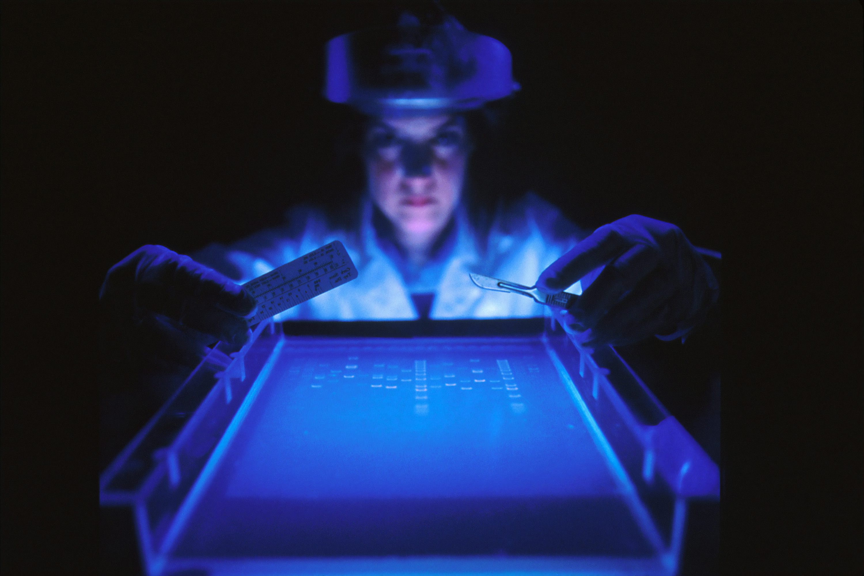Mitochondria: Microscopic Energy Field and Health Code
