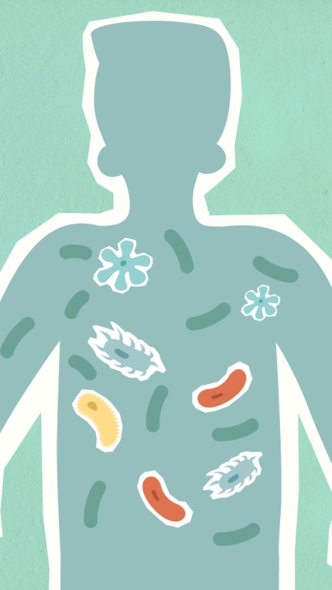 The Role of Gut Health in Overall Well-being