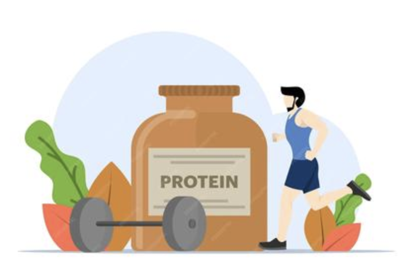 High - Protein Diet: A Fit for You?