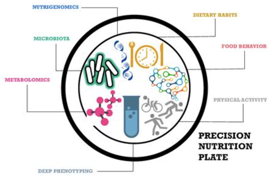 Metabolic Age: More Than Just Years